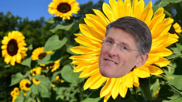 sunflower-corbat