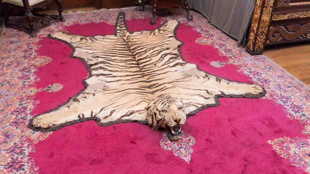 tiger skin rug
