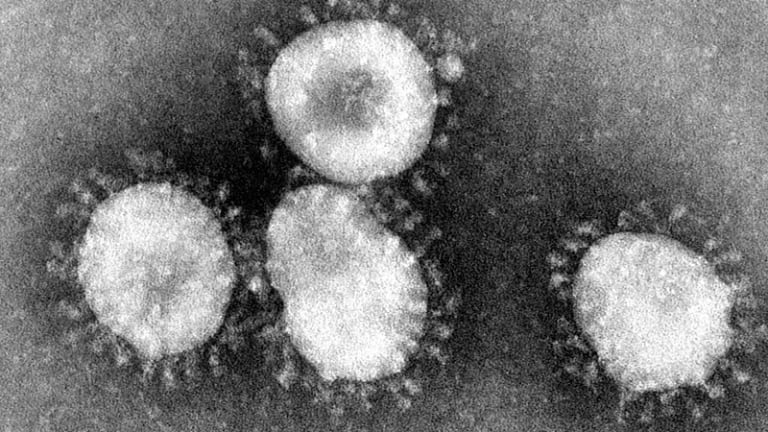 Coronavirus Cures Terminally Ill Hedge Fund