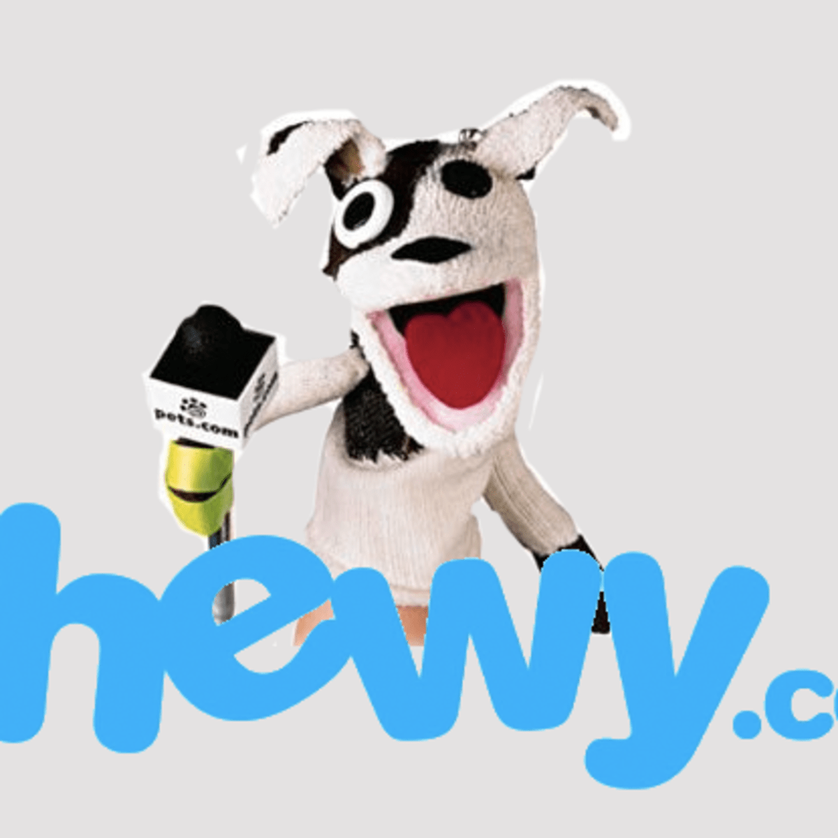 chewy dog food company