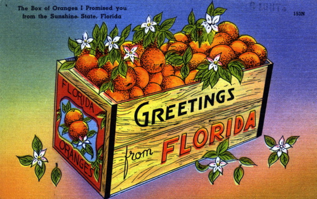 When Florida Bar Said It Was Serious About Ethical Violations It MEANT To Say, ‘Yes, Sir. Glory To The MAGA Empire!’