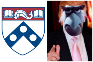 Wharton Grads Use Open Letter To Gang Up On Insecure Fordham Transfer