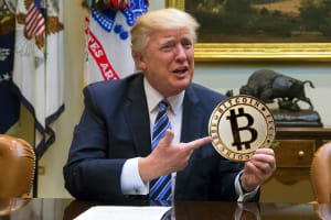 Trump bitcoin dollar