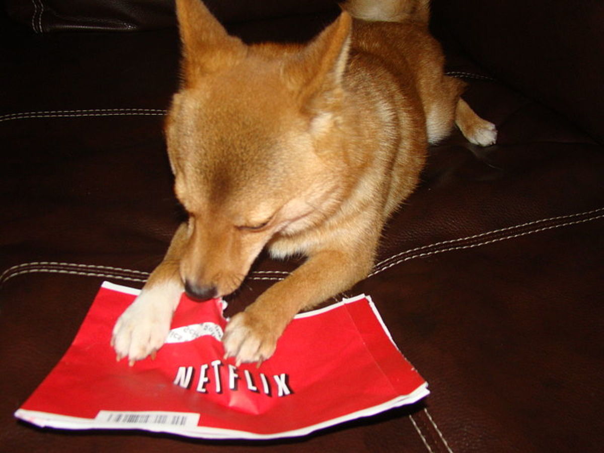 Ineffective way of determining preferences. By Taro the Shiba Inu [CC BY 2.0], via Wikimedia Commons